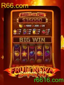FruitNovaSuper40